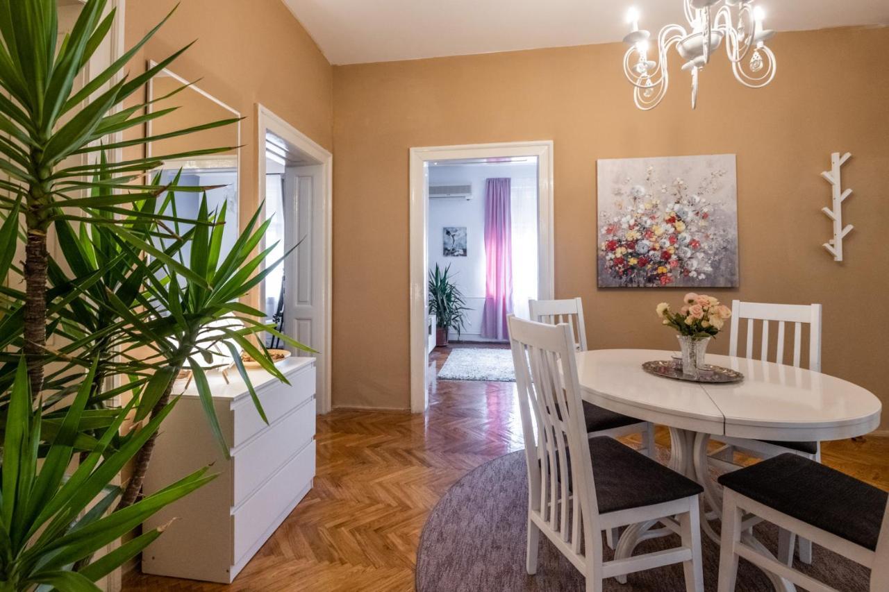 Neimar Apartment With Great Wi-Fi And Free Parking Belgrad Exteriör bild